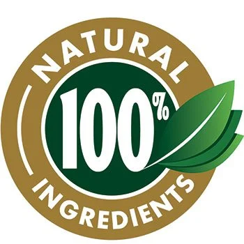 MindWake natural cognitive wellness support